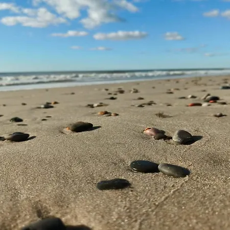 Vakantiehuis 6 Person In Norre Nebel-by Traum