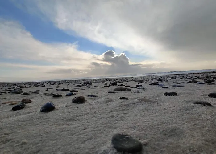 Vakantiehuis 6 Person In Norre Nebel-by Traum